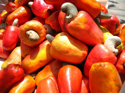 Health Benefits of The Cashew Fruit