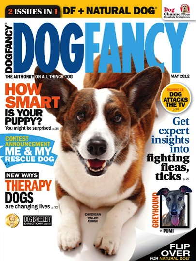 Dog Fancy Magazine3