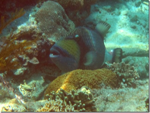 DSC09618 e