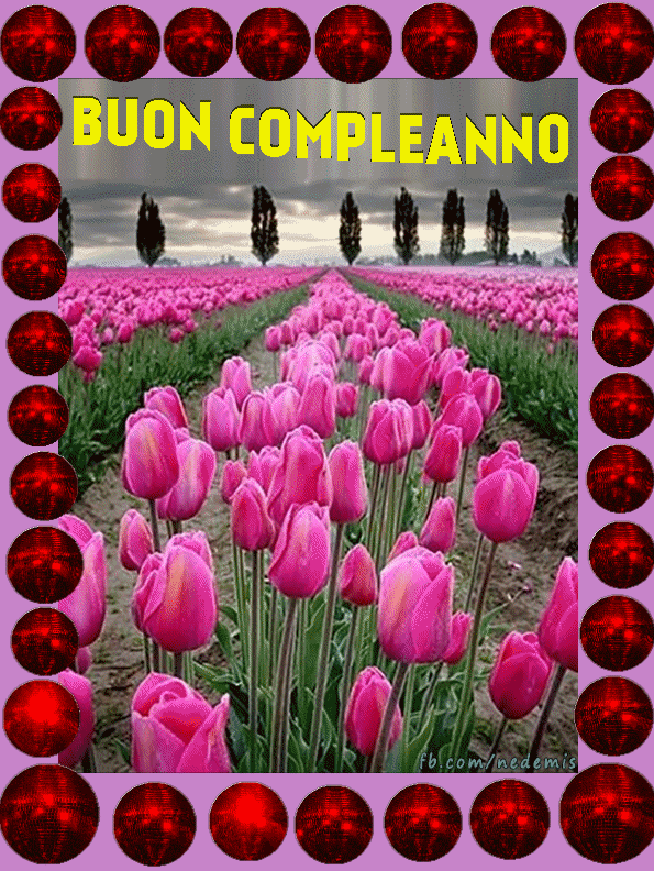 Rose rosa, auguri di compleanno immagine gif | Biglietti d ...
