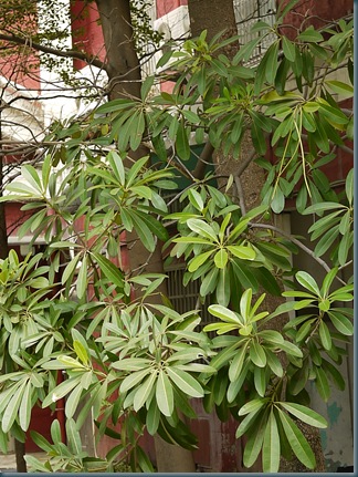 P1000368