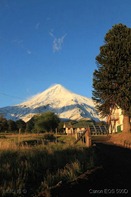 IMG_5767
