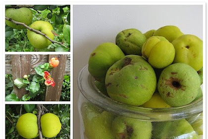 Another pumpkin jam, this time with flowering quinces