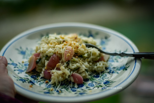 Risotto z rzodkiewkami Kuchnia w Kamiennym Domu