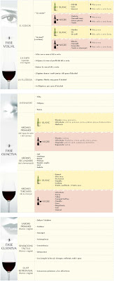 esquema tast de vins blancs i negres