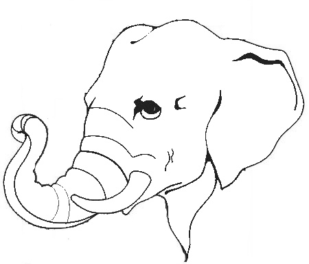 Camouflage Coloring Pages