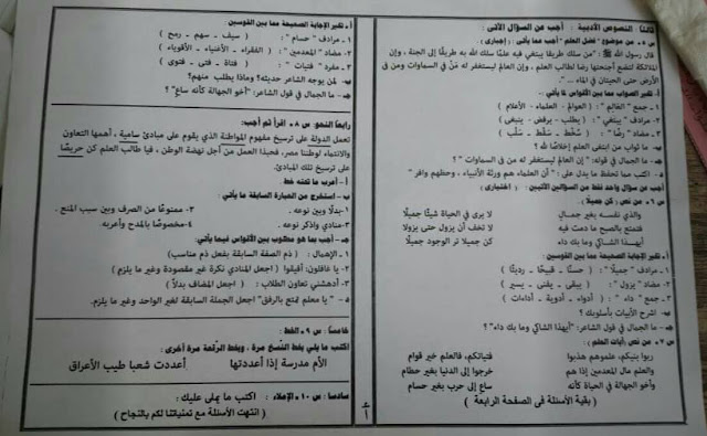 ورقة امتحان اللغة العربية