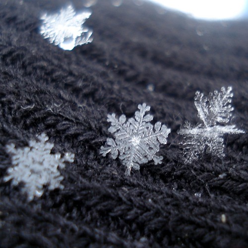 snowflakes_by_sindarelf