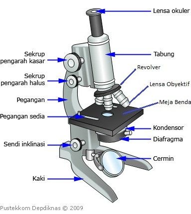 Penjelasan Bagian Bagian Dan Fungsi Mikroskop Elektron 