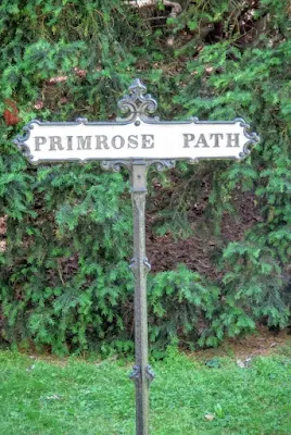 Walking Down the Primrose Path at Mount Auburn Cemetery in Cambridge, Massachusetts