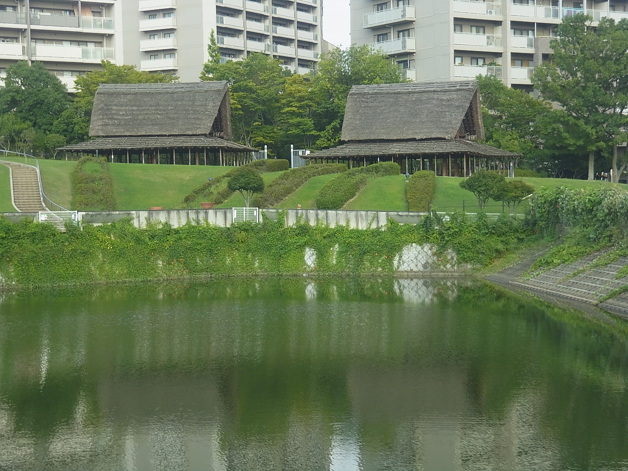 写真: 
