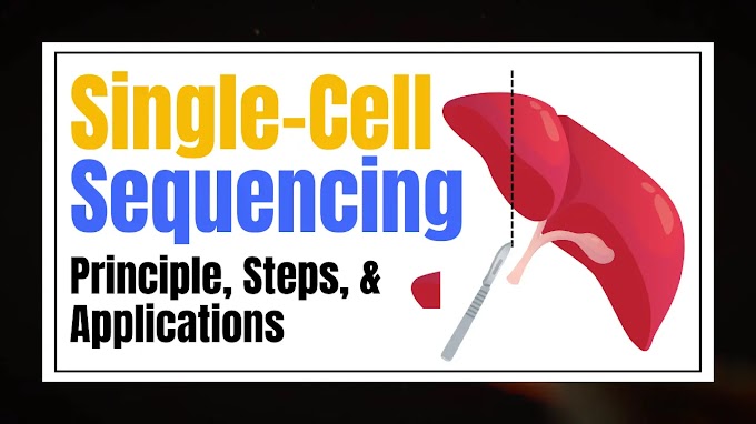 Exploring the Power of Single-Cell Sequencing: A Guide to Advancements, Applications, and Costs