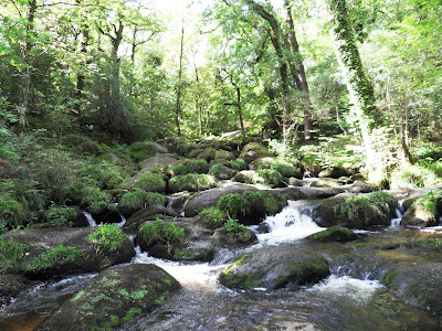 Becky Falls, Devon