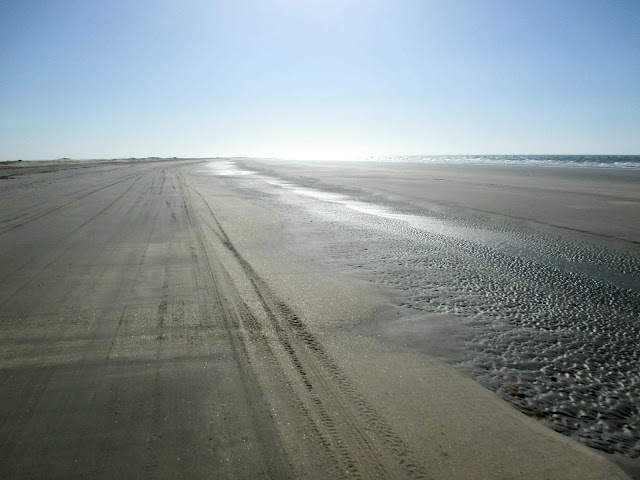 Brésil, Jericoacoara, buggy, hippocampe, dune, tatajuba, mangue seco