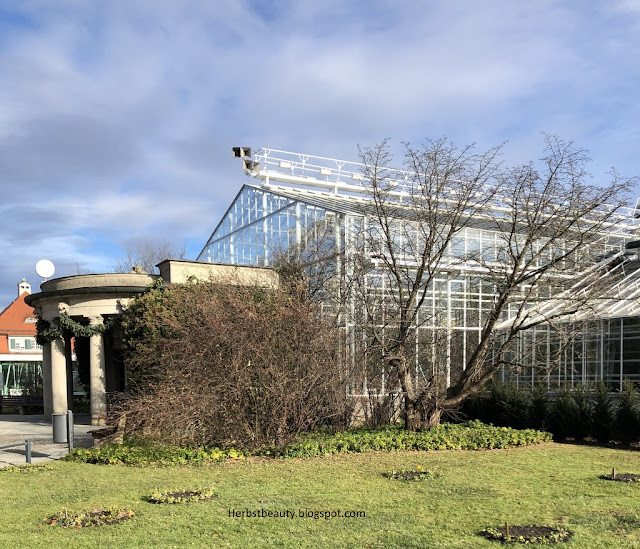 Botanischer Garten München