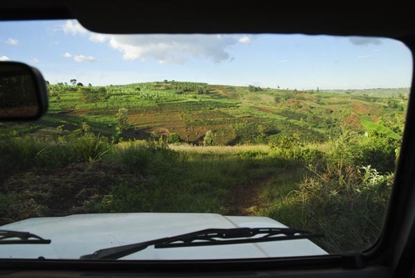 the path to the plantation  where the trees are copming from. One of the advantages of our car, Tiny, is that even a goat track counts as a road.
