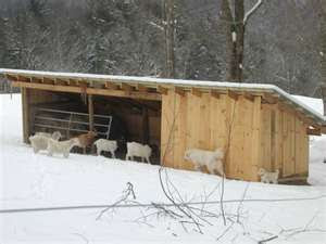 Serenity Acres Farm: Housing for Goats