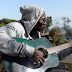 Malibu Base Nigerian Artiste Teshi, Sets To Revive Rock n Roll Music In Nigeria