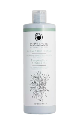 Best hair fall Odylique gentle herb shampoo
