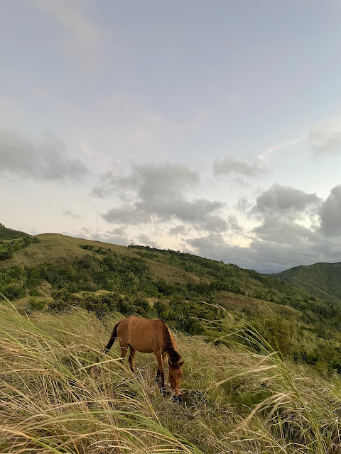 Mount Batolusong Hike, Tanay Rizal 2024