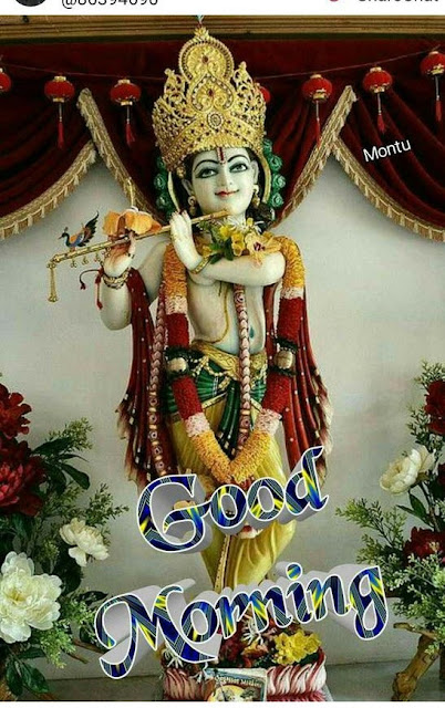 Good Morning Happy Krishna Janmashtami Wishes,