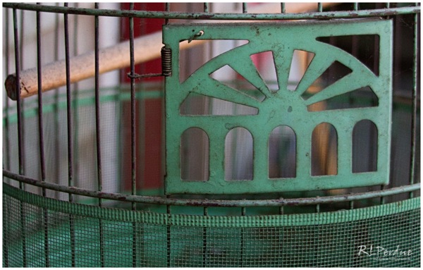 365 birdcagedoor
