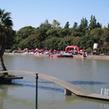 View album