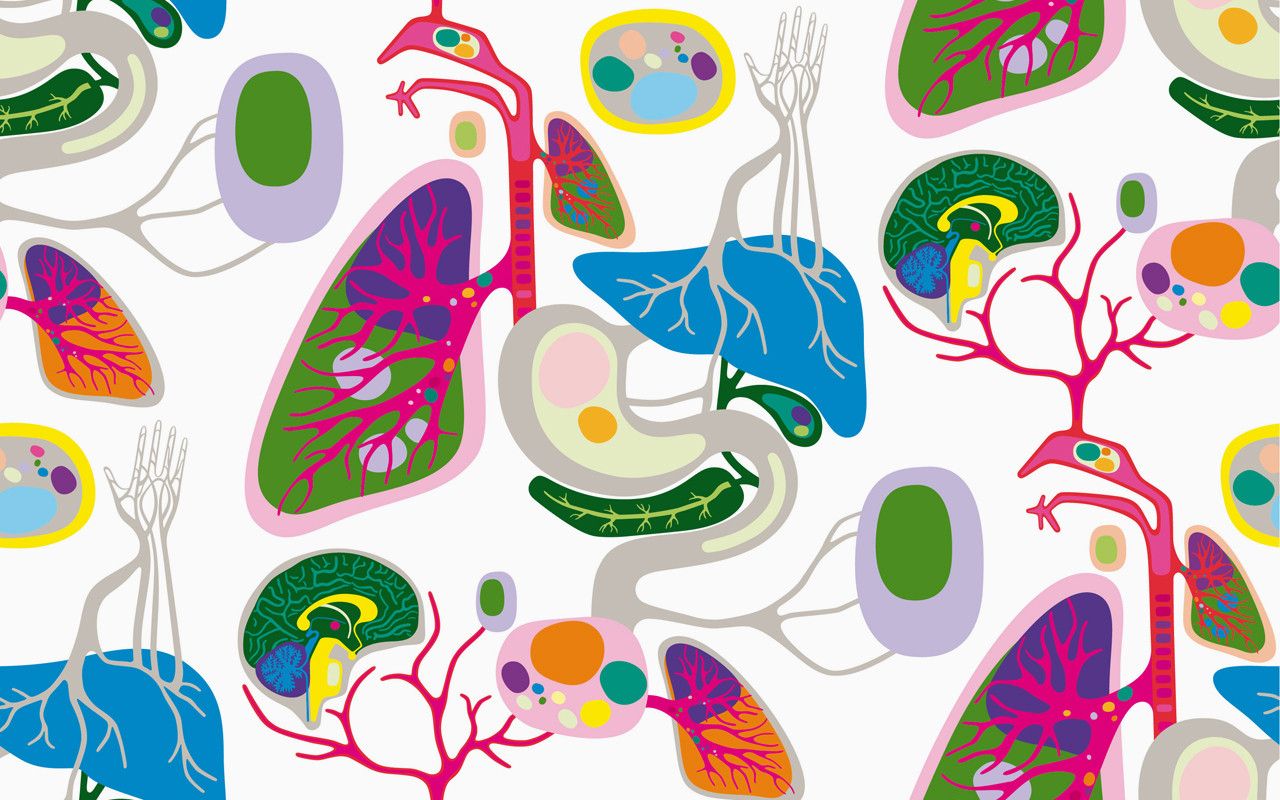 KISI-KISI UJIAN SUMATIF BIOLOGI