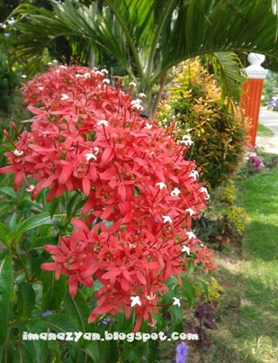 20130505_110224
