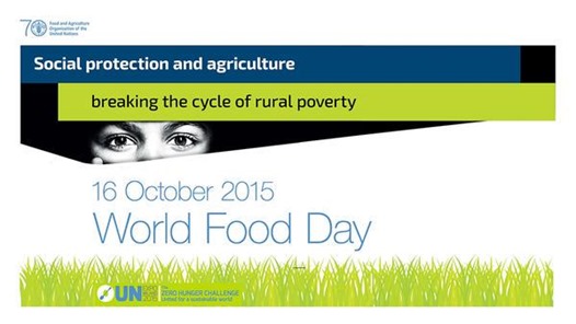 world food day