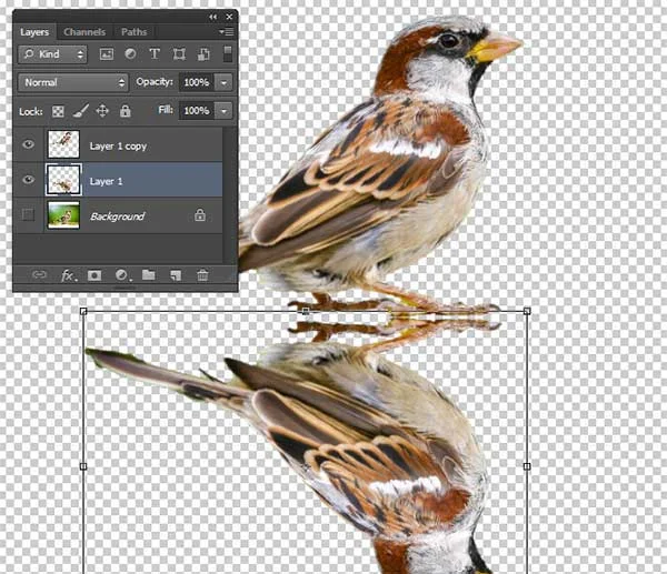 Move the reflection layer below the original image by using the down arrow or drag using your mouse.