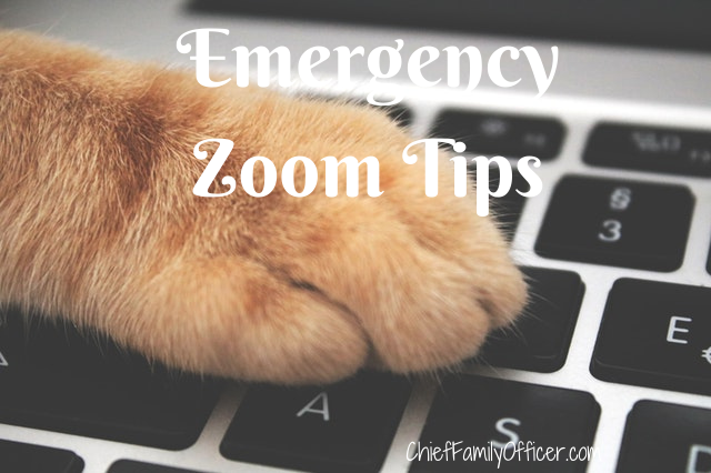 Emergency Zoom Tips