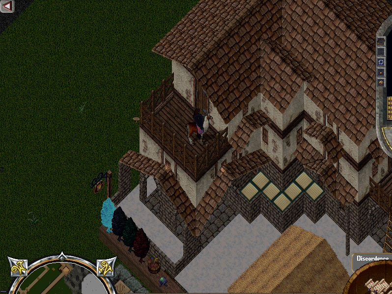 custom house design
