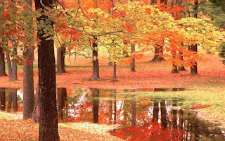 Beautiful Autumn HD Wallpaper Photos