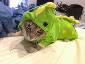 Funny cats - part 94 (40 pics + 10 gifs), cat pictures, cat wears dinosaur costume