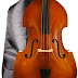 Double Bass Hire 