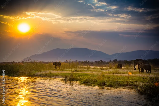 zambia