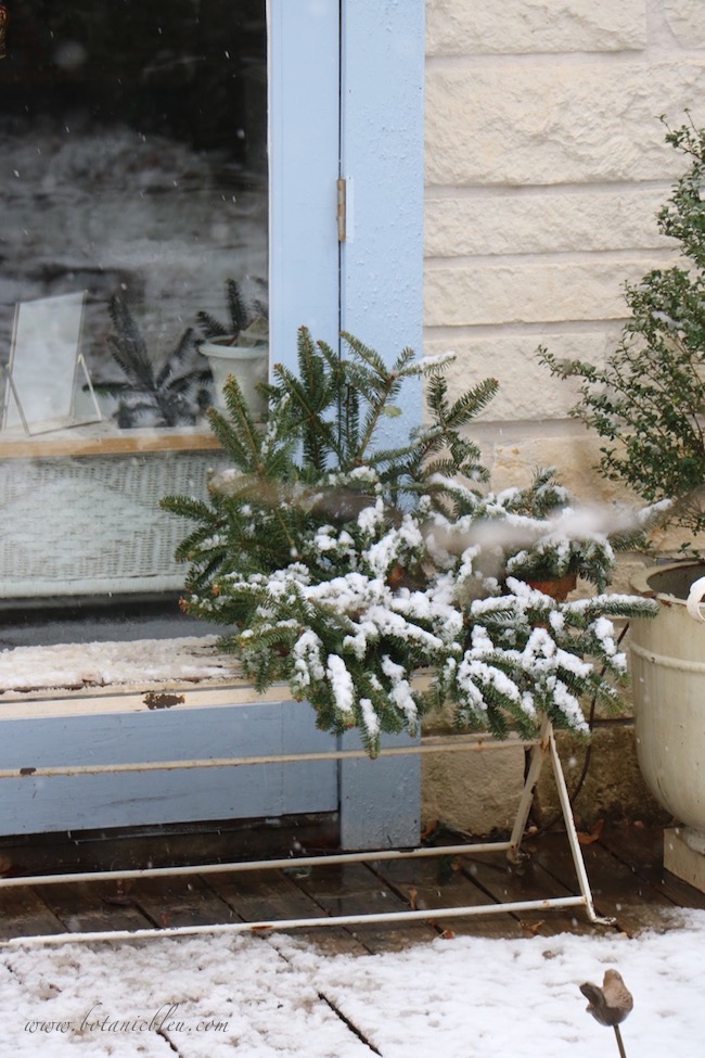 Snow covered a large evergreen wreath lying on the bench on the porch of the French country garden shed