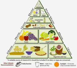 Food Guide Pyramid For kids - Daily Nutrition For Kid