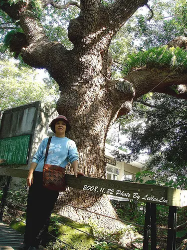 芝山岩爬山｜台北士林捷運芝山站景點