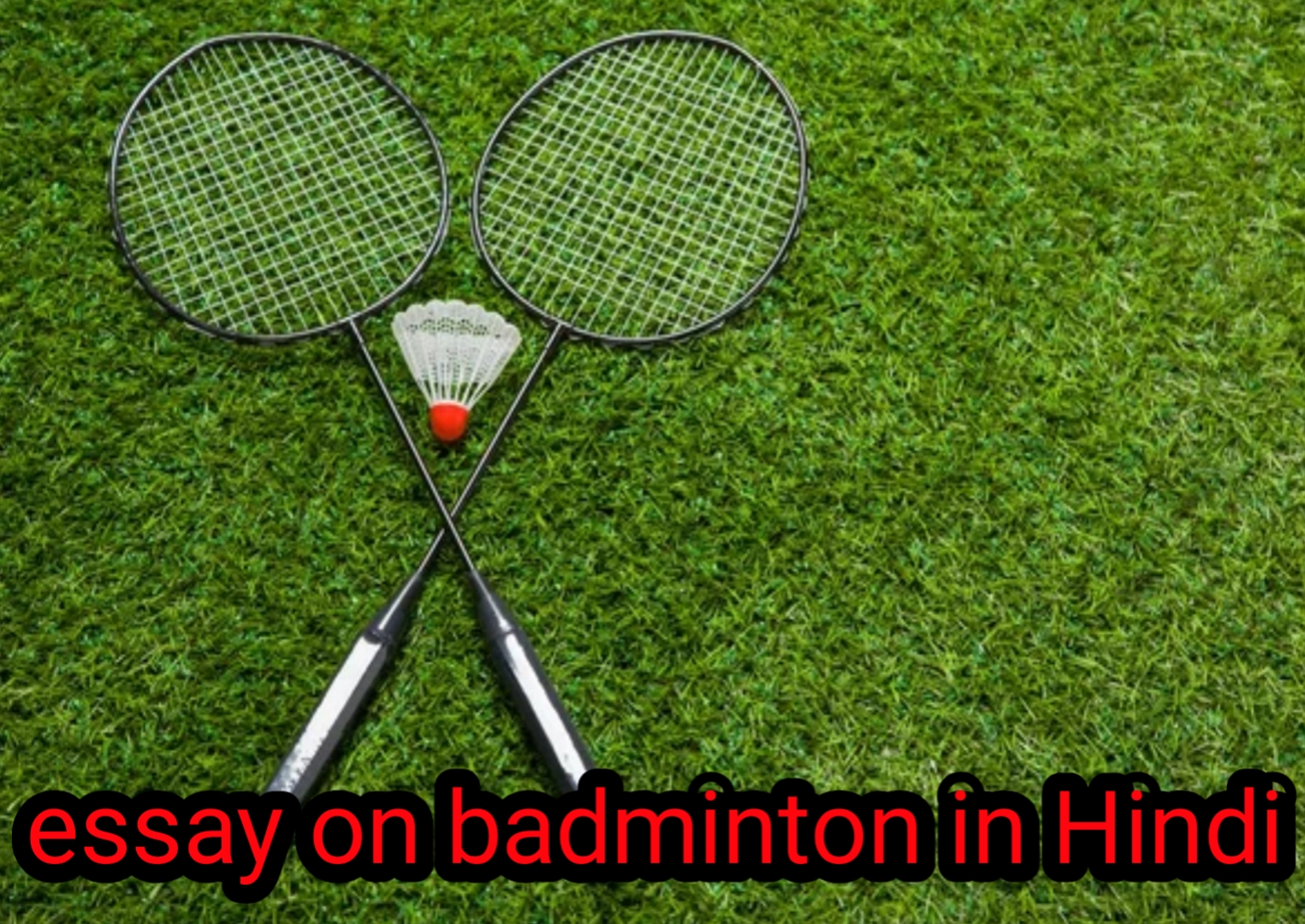 essay on badminton in hindi for class 5