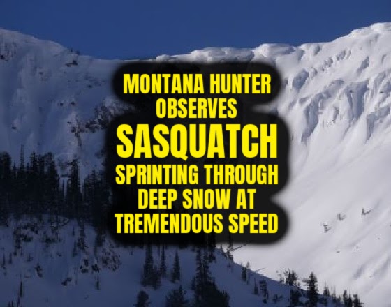 Montana Hunter Observes 'Sasquatch' Sprinting Through Deep Snow at Tremendous Speed