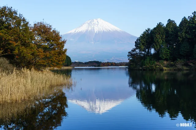 田貫湖・展望デッキからの富士山