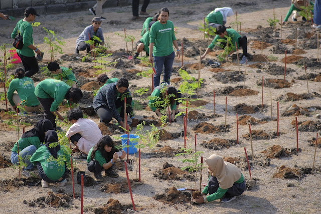 Candi Darling: Merawat Candi, Mencintai Bumi