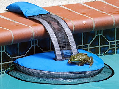 The FrogLog Is Animal Saving Escape Ramp For Pool, Perfect For Frogs, Chipmunks, Birds, Mice, And Etc  