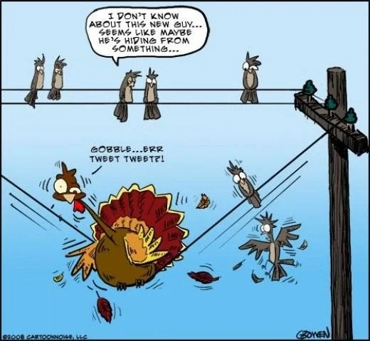 · why did the turkey start a band? Mr Shakespeare, eat your heart out!: Thanksgiving Jokes