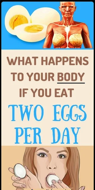 This Is What Happens to Your Body When You Eat Two Eggs a Day