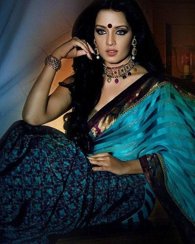 Celina Jaitley Colorful Saree Images