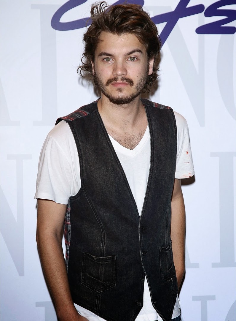  Emile Hirsch Showed up in Court