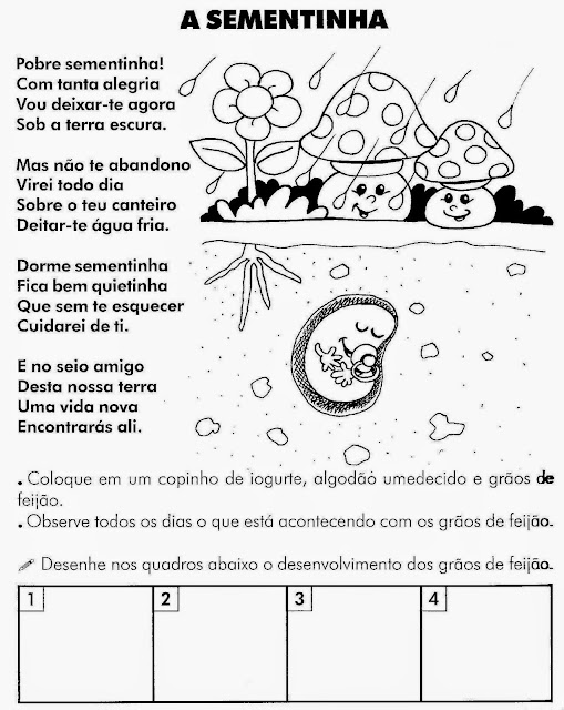 Atividades sobre as plantas ensino fundamental